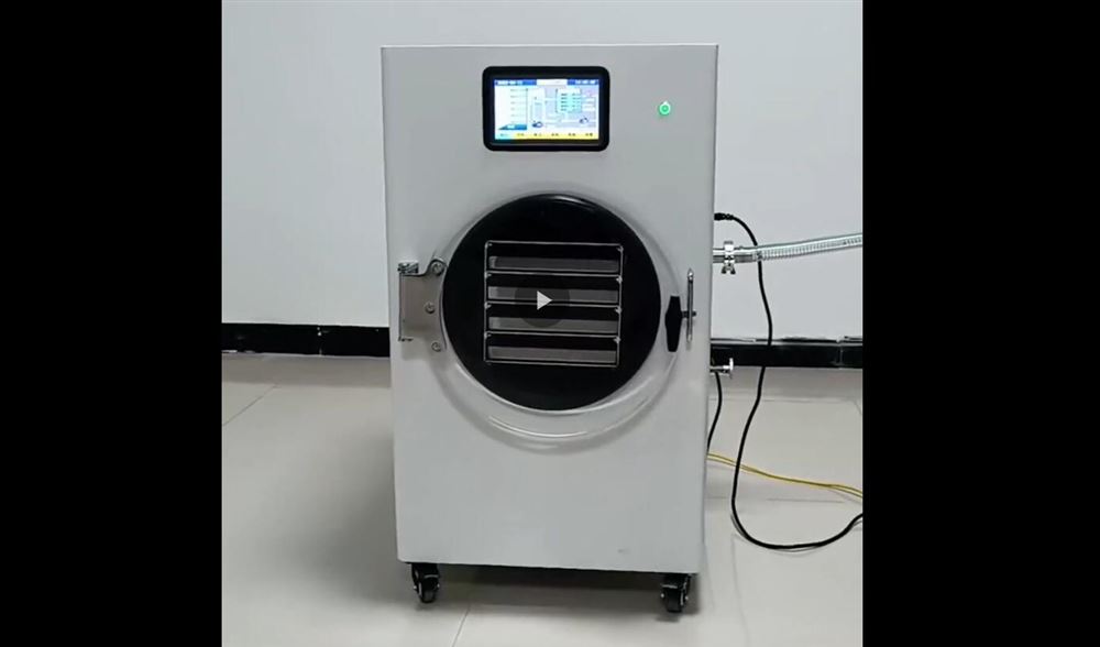 HFD-4家用型凍干機(jī)