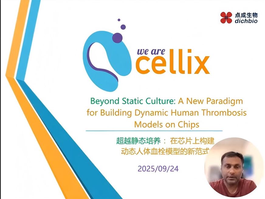 超越靜態培養：在芯片上構建動態人類血栓模型的新范式