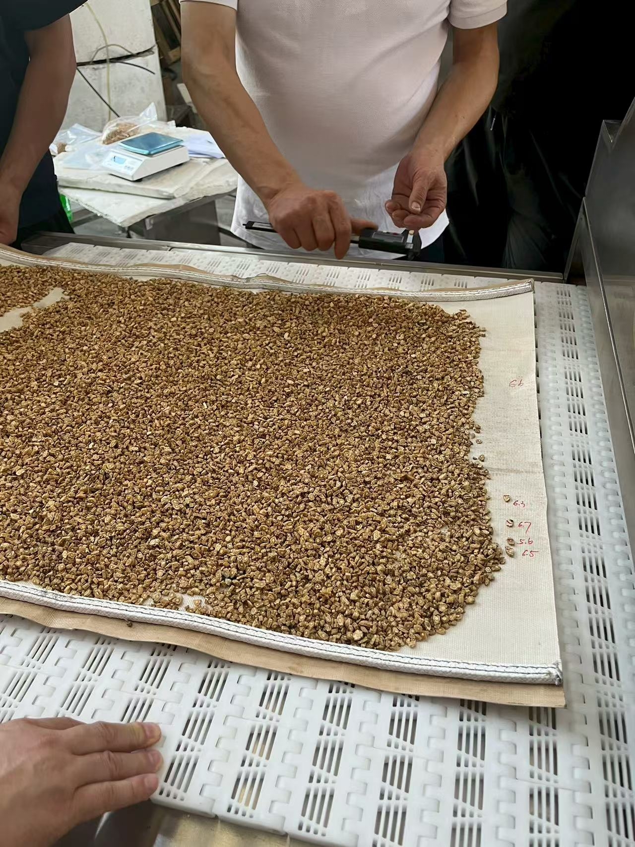 中藥材微波烘干殺菌設(shè)備