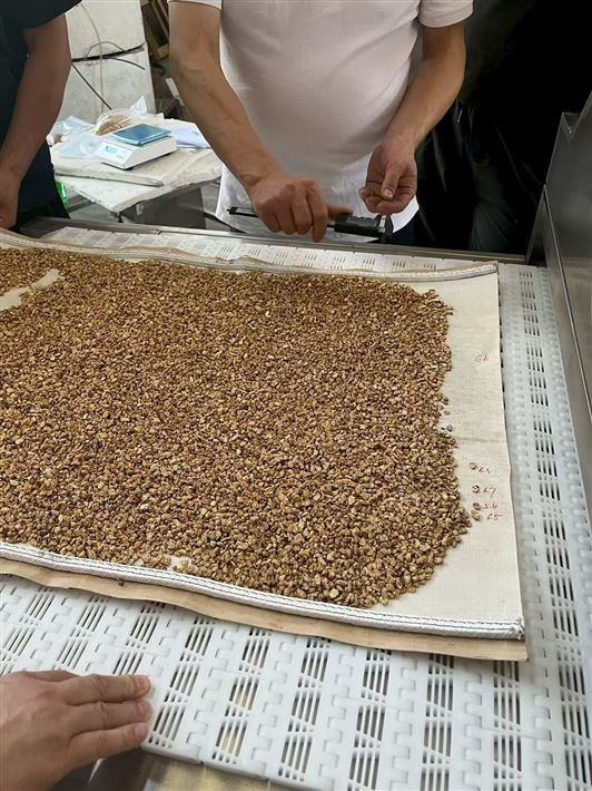 中藥材微波烘干殺菌設(shè)備