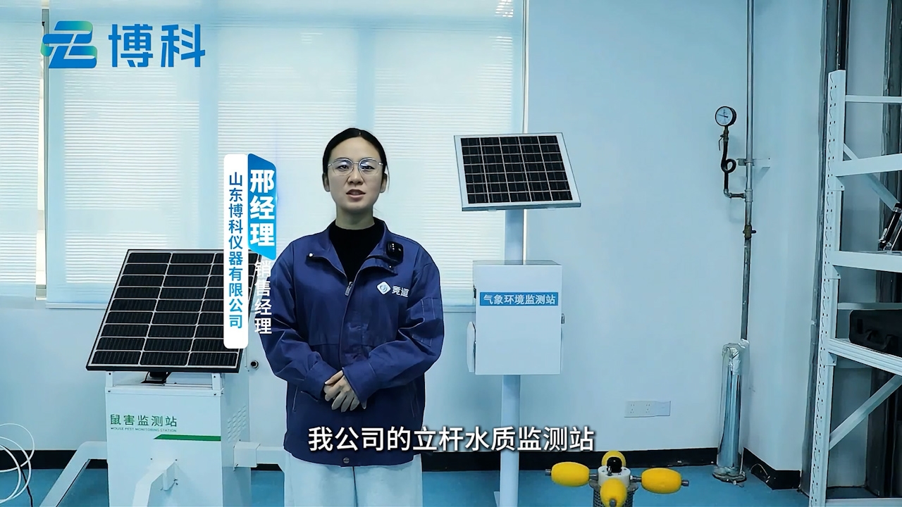 立杆水质监测站：传感器浸入式监测，持续捕捉水体实时变化