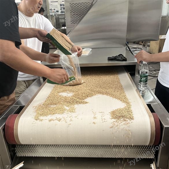 微波燕麥烘干殺菌烘焙設備 燕麥熟化設備