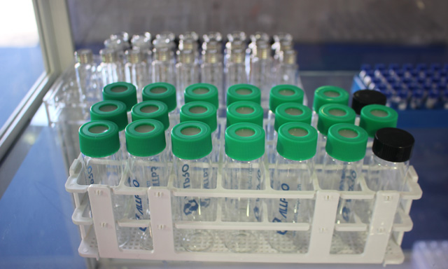 今日港股生物醫(yī)藥板塊活躍！再鼎醫(yī)藥、榮昌生物、諾誠(chéng)健華等紛紛上漲