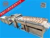 TSQX-3800云南TS-1三七毛刷清洗機（根莖類藥材清洗設(shè)備）